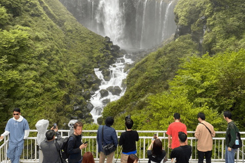 Desde Tokio: Nikko Tour Privado En Prado De Lujo Precio Más Bajo