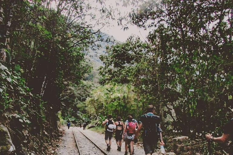 Desde Cusco: Salkantay 5 Días de senderismo: Por los AndesSalka4Days