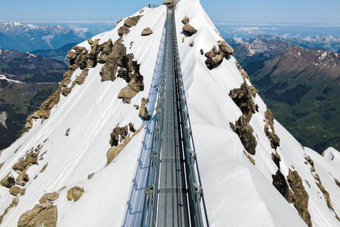 Geneva: Glacier 3000 Tour with Alpine Coaster & Glacier Walk