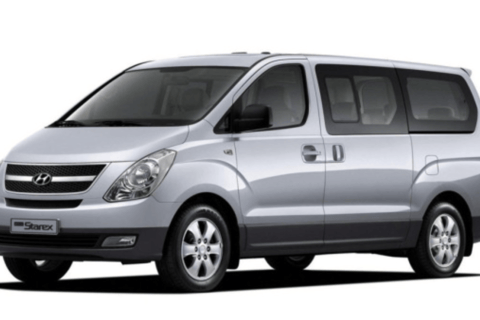 From Punta Cana Airport (PUJ): Private Transfer