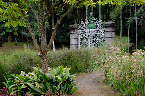 São Paulo Botanical Garden Private Guided Tour & Transport 3-hour: Botanical Garden Tour & Transport