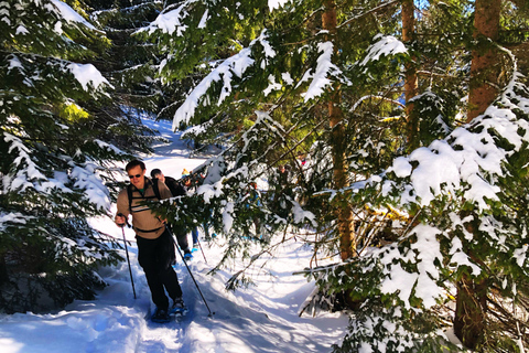 Allgäu: Aventura de senderismo con raquetas de nieve