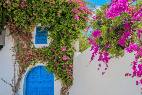 Sidi Bou Said, Carthage, Bardo, Medina Day Trip from Monastir or Sousse without a live guide, the driver is your traveling companion