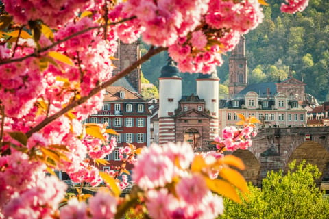Lass dich überraschen - Überraschungstour in der Heidelberger Altstadt