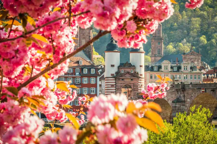 Lass dich überraschen - Überraschungstour in der Heidelberger Altstadt. Foto: GetYourGuide