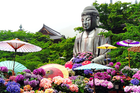 Nara: descubra un gigantesco Buda de piedra en las colinas boscosasNara: descubre un gigantesco Buda de piedra en las colinas boscosas