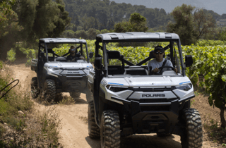 Cassis: Entdeckung der AOC-Cassis-Weingüter mit dem Elektro-Buggy (1 Stunde und 2 Stunden)