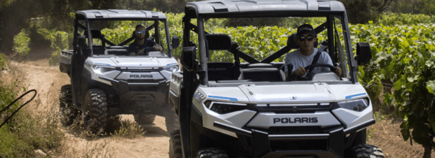 Cassis : découverte des domaines AOC Cassis en buggy électrique
