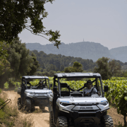 Cassis: Entdeckung der AOC-Cassis-Weingüter mit dem Elektro-Buggy (1 Stunde und 2 Stunden)