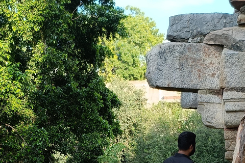 德里：五感花园导览游（含接送服务）