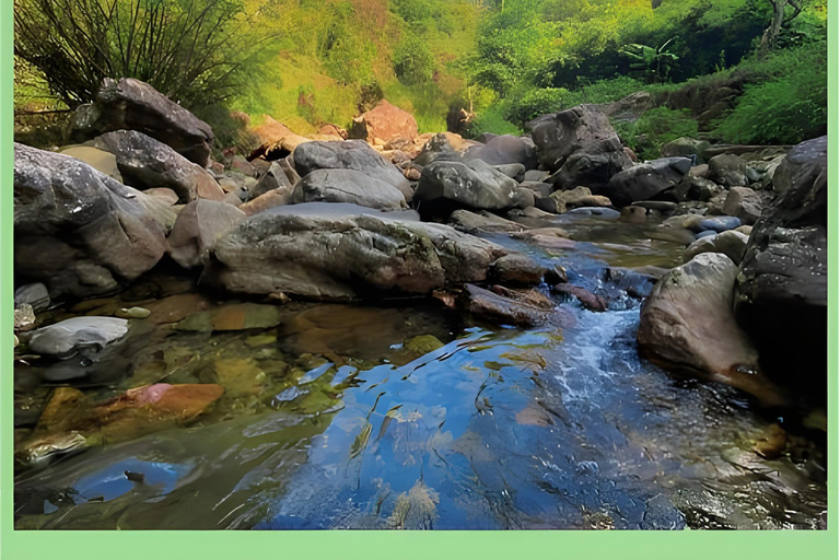 Guangzhou Conghua: One-Day Chartered Guide in Xitou Village