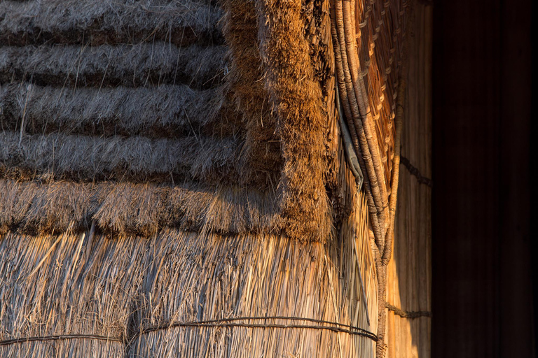 Rwanda: 4-Day Gorilla and Chimpanzee Trekking Tour