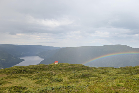 Bergen: Private Guided Fjord Hike
