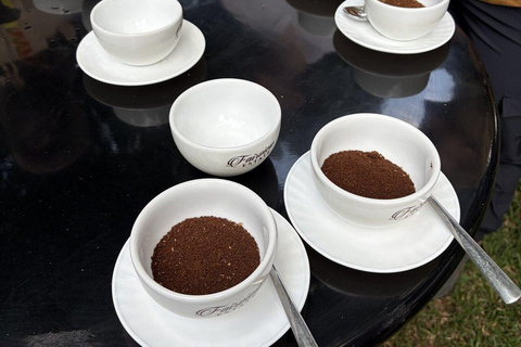 Nairobi:Fairview Coffee Farm Tour &Coffee Tasting Experience