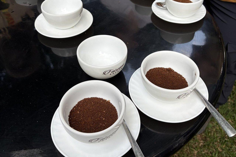 Nairobi:Fairview Coffee Farm Tour &Coffee Tasting Experience