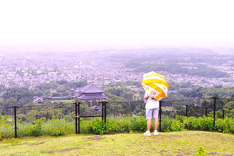 Nara: Hike Mt. Wakakusa and Encounter Wild Free-Roaming Deer