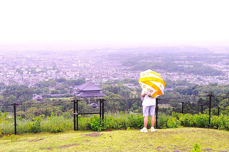 Nara: Hike Mt. Wakakusa and Encounter Wild Free-Roaming Deer
