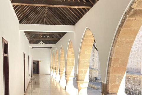 Paphos: Wine and Halloumi Tasting Tour with Pickup