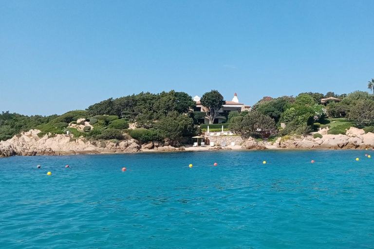 From Porto Rotondo: RIB tour of Porto Cervo's beaches