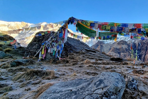 Katmandu: 8-dniowy trekking z przewodnikiem do obozu Annapurna Base CampKatmandu: 8-8-dniowy pakiet usług Annapurna Base Camp Trek