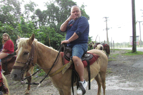 Puerto Plata: Horseback Tour of the Beach and Local Community