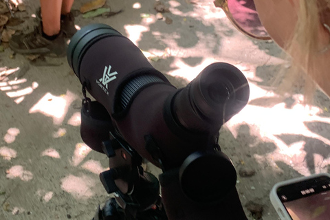 Cahuita National Park+Bribri Chocolate Tour+Waterfalls Tour+Lunch