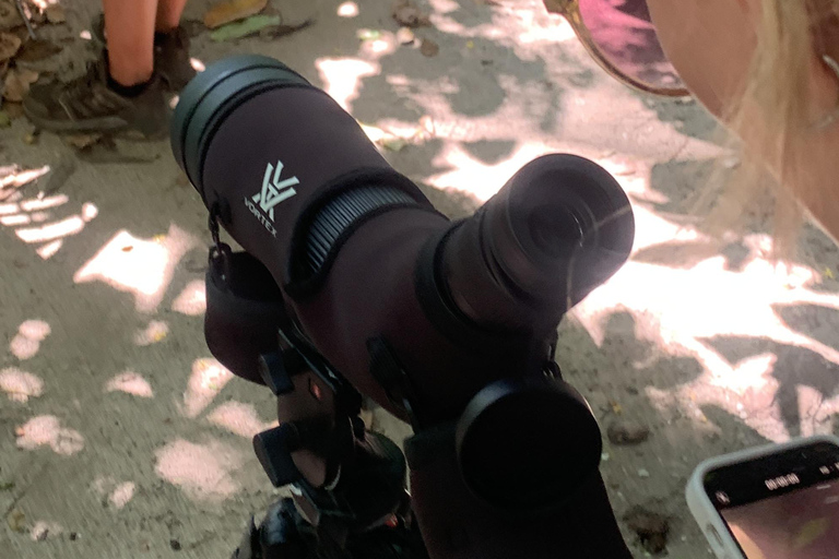 Cahuita National Park+Bribri Chocolate Tour+Waterfalls Tour+Lunch