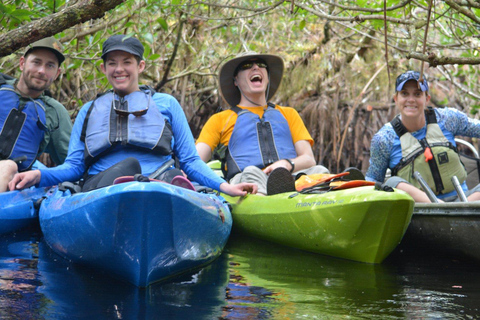 Everglades Kayak Safari Adventure Through Mangrove Tunnels