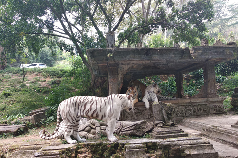 Jakarta : Taman Safari, Palais du Panda et chute d&#039;eau