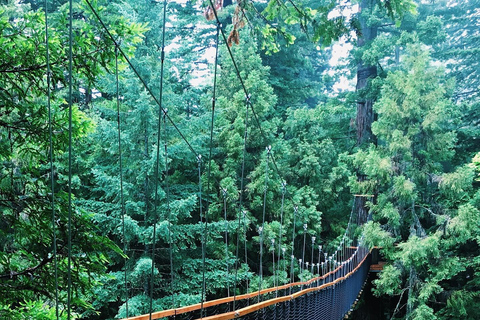 Au départ d'Auckland : Circuit en groupe à Rotorua