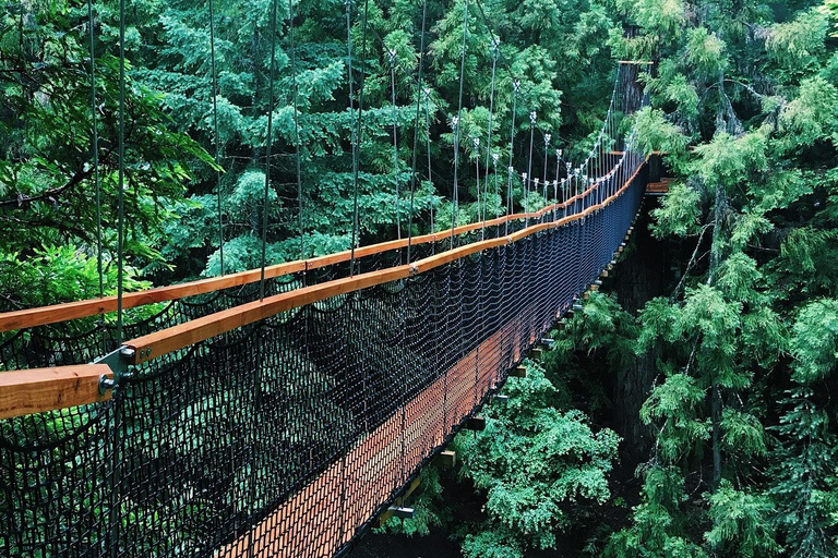 Au départ d'Auckland : Circuit en groupe à Rotorua