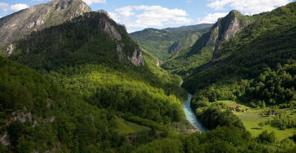 From Ulcinj: Montenegro National Parks and Canyons Day Trip