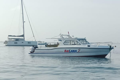 从巴厘岛出发：努沙佩尼达魔鬼鱼浮潜私人乘船观光共享游船之旅（含午餐，巴厘岛酒店接送服务）