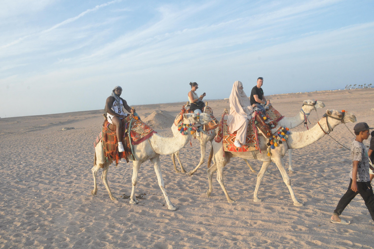 Makadi Bay: Sunrise VIP Quad & Traditional Bedouin Breakfast Makadi Bay: Sunrise VIP ATV, Camel W/ Traditional Breakfast