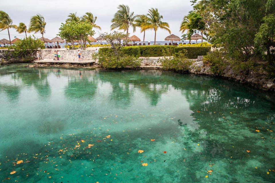 Chankanaab Cozumel Premium Day Pass with Lunch and Open Bar | GetYourGuide