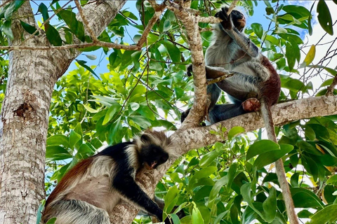 Zanzibar: Jozani Forest, Salaam & Maalum Caves and Sunset