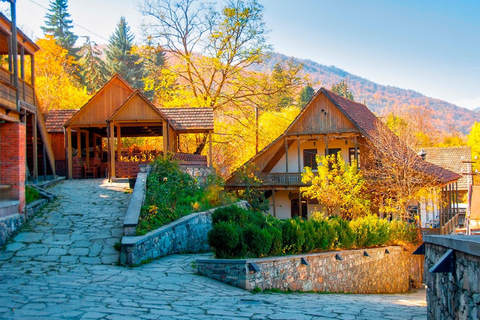From Tbilisi: Armenia Day Trip – Dilijan, Sevan & Yerevan ✨