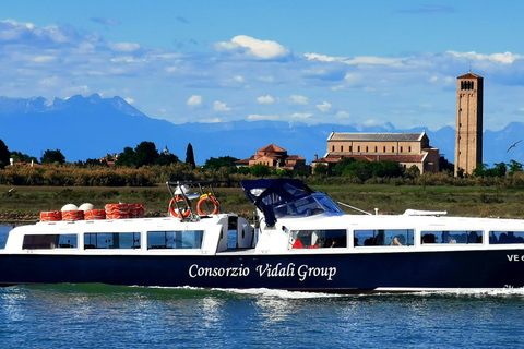 Venice: Venice: 1-Hour Boat Tour of Giudecca Canal Venice: 1-Hour Boat Tour of Giudecca Canal - Private