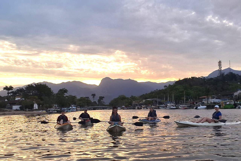 Paraty: Mangrove Kayak Tour with Capybara sightings