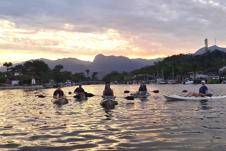 Paraty: Mangrove Kayak Tour with Capybara sightings