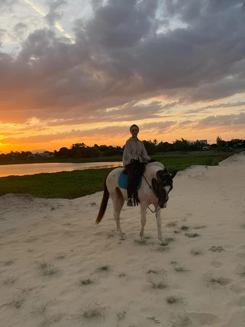 Depuis Da Nang Demi journée de balade à cheval et de bateau en noix