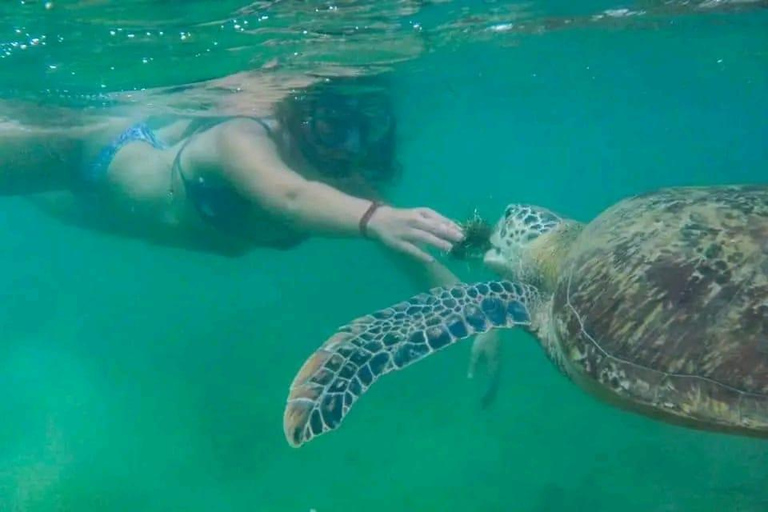 SH Snorkeling Club Mirissa