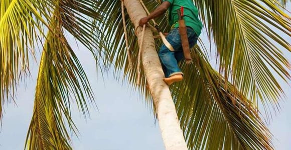 Zanzibar: Spice Farm Private Tour