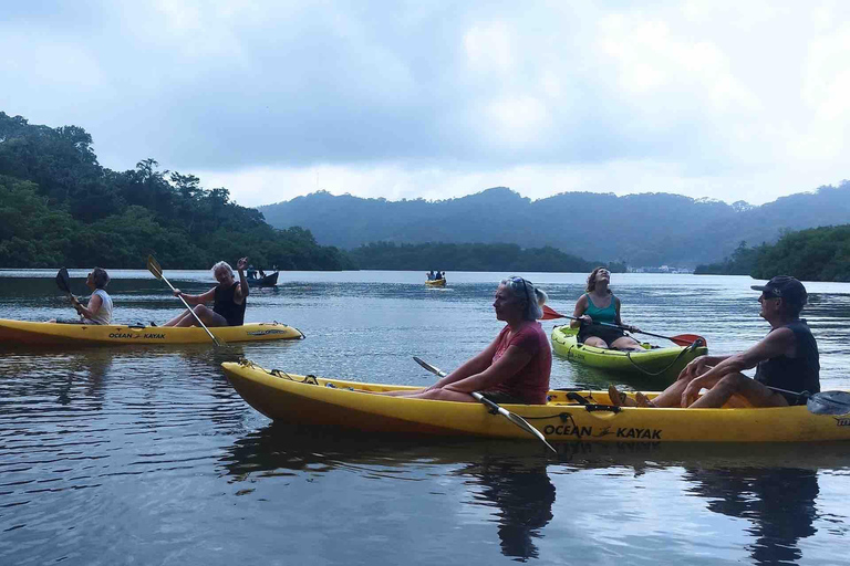 Panama City: Portobelo Jungle, Reef & Venas Azules Tour
