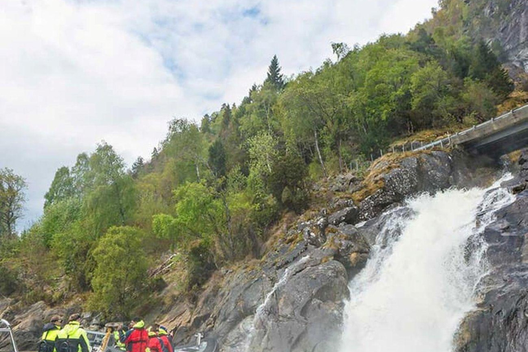 Balestrand: Fjord Sightseeing by Fast Boat