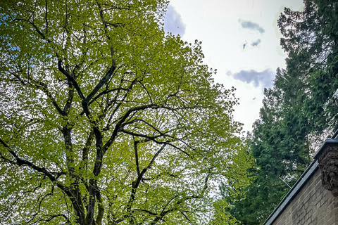 City of the Dead: Cologne's Famous Cemetery Tour in English
