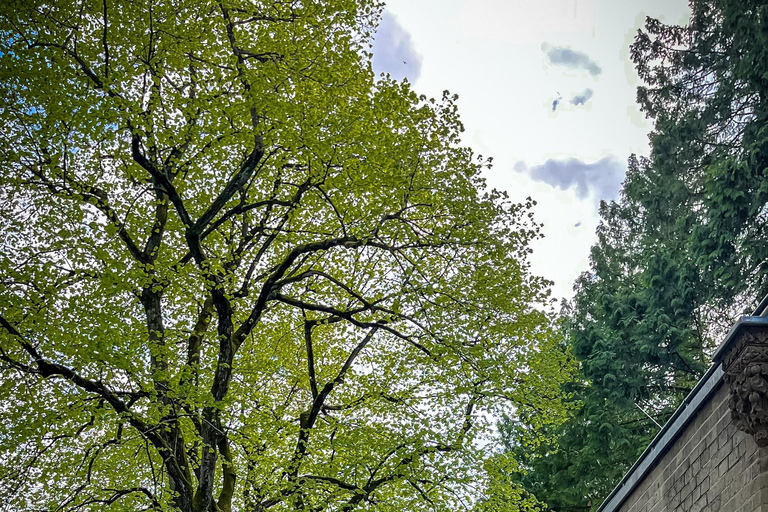 City of the Dead: Cologne's Famous Cemetery Tour in English