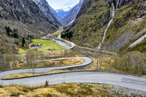 Bergen: Nærøyfjord Cruise, Stalheim Walk & Undredal Village
