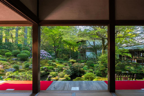 Osaka/Kyoto: Sanzenin, Arashiyama Train, Bamboo Forest Tour Kyoto Station Meeting Point 9:50 AM