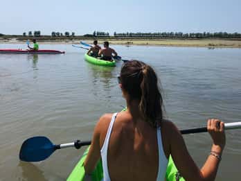 Cavallino-Treporti: Short Kayak Tour in the Venetian Lagoon